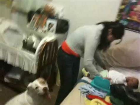 mujer pegada con perro|Video: mujer le propinó golpiza a su mascota e insultó a ...